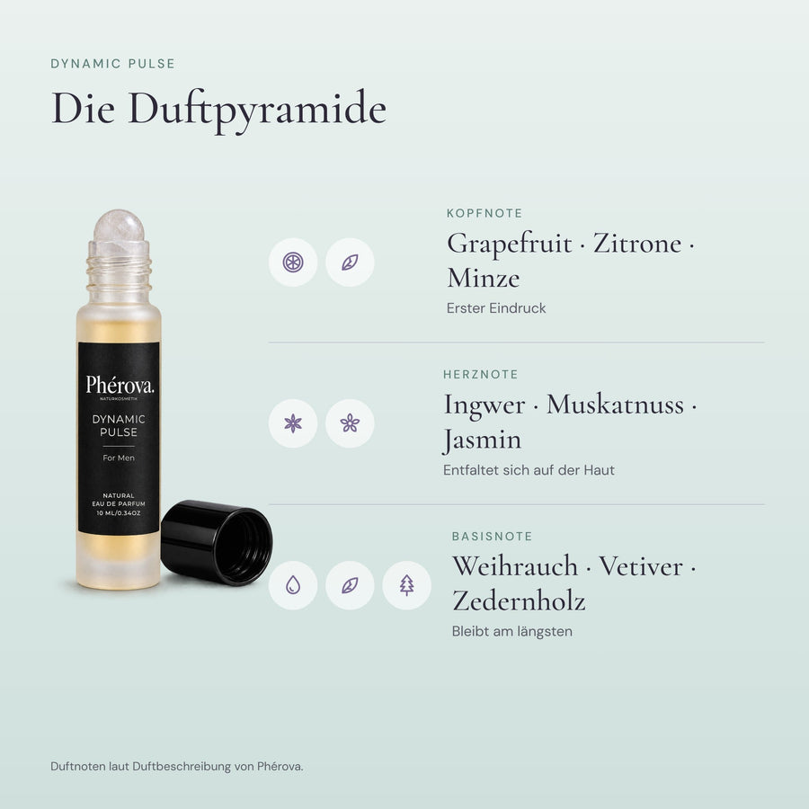 Dynamic Pulse – Duftpyramide – Kopf-, Herz- und Basisnoten von Dynamic Pulse