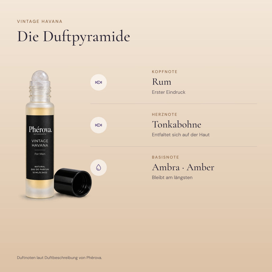 Vintage Havana – Duftpyramide – Kopf-, Herz- und Basisnoten von Vintage Havana